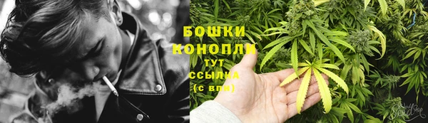 гидра Бронницы