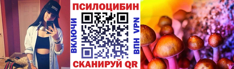 Псилоцибиновые грибы мицелий Ишим
