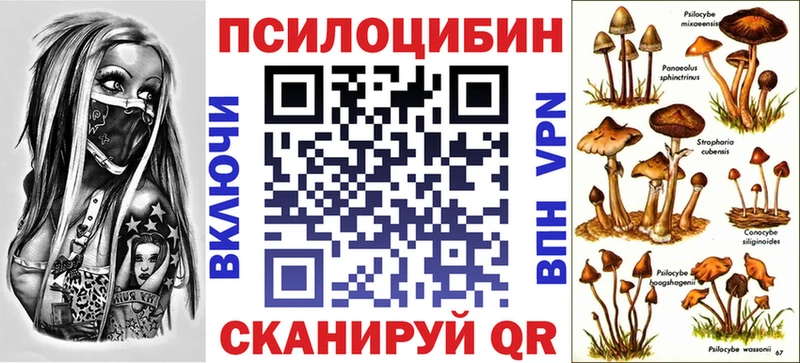 Галлюциногенные грибы GOLDEN TEACHER  цена наркотик  Ишим 