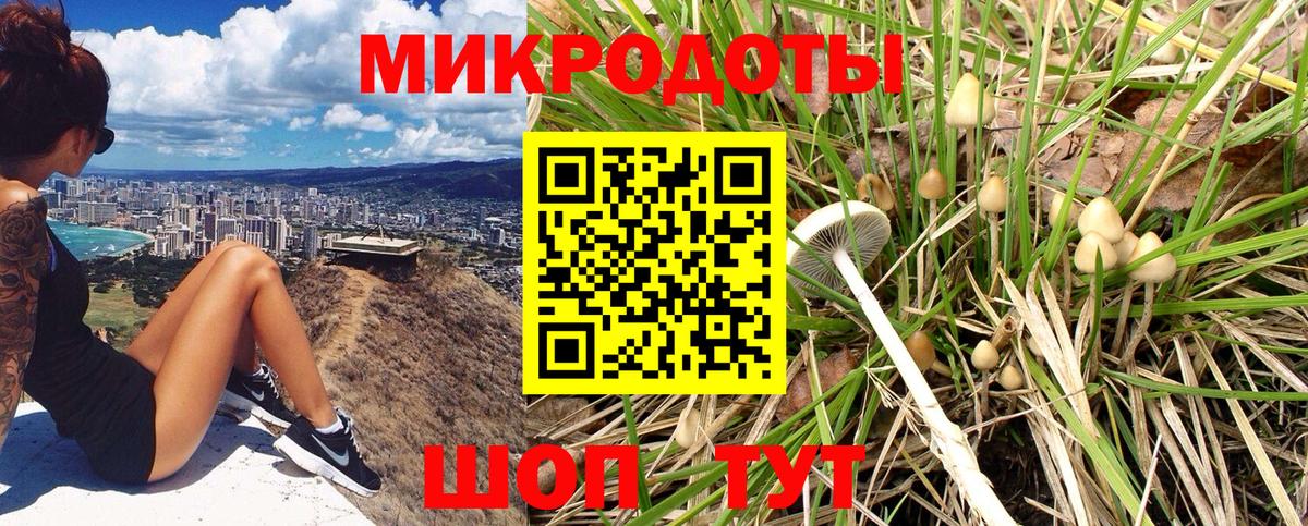 Галлюциногенные грибы ЛСД  Вход с VPN  Ишим 
