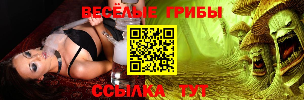 Псилоцибиновые грибы MAGIC MUSHROOMS  Ишим 